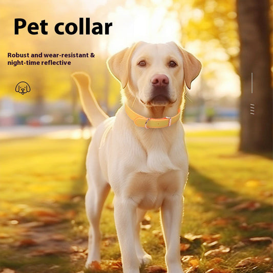 Luminous Dog Collar with Metal Buckle