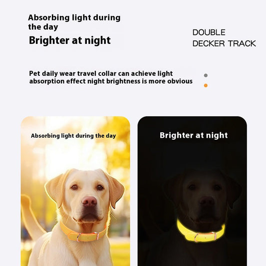 Luminous Dog Collar with Metal Buckle