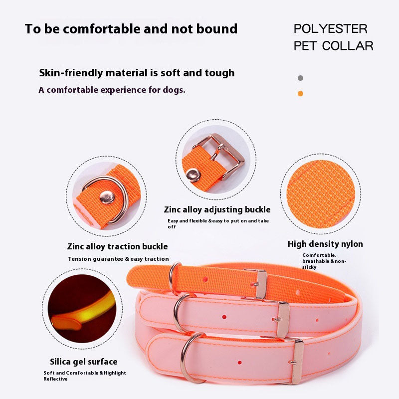 Luminous Dog Collar with Metal Buckle