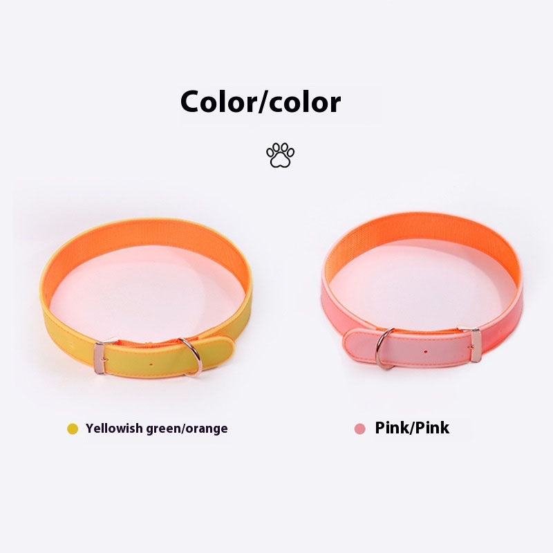 Luminous Dog Collar with Metal Buckle