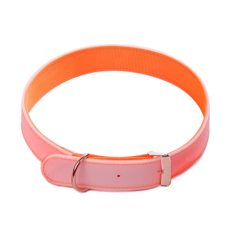 Luminous Dog Collar with Metal Buckle