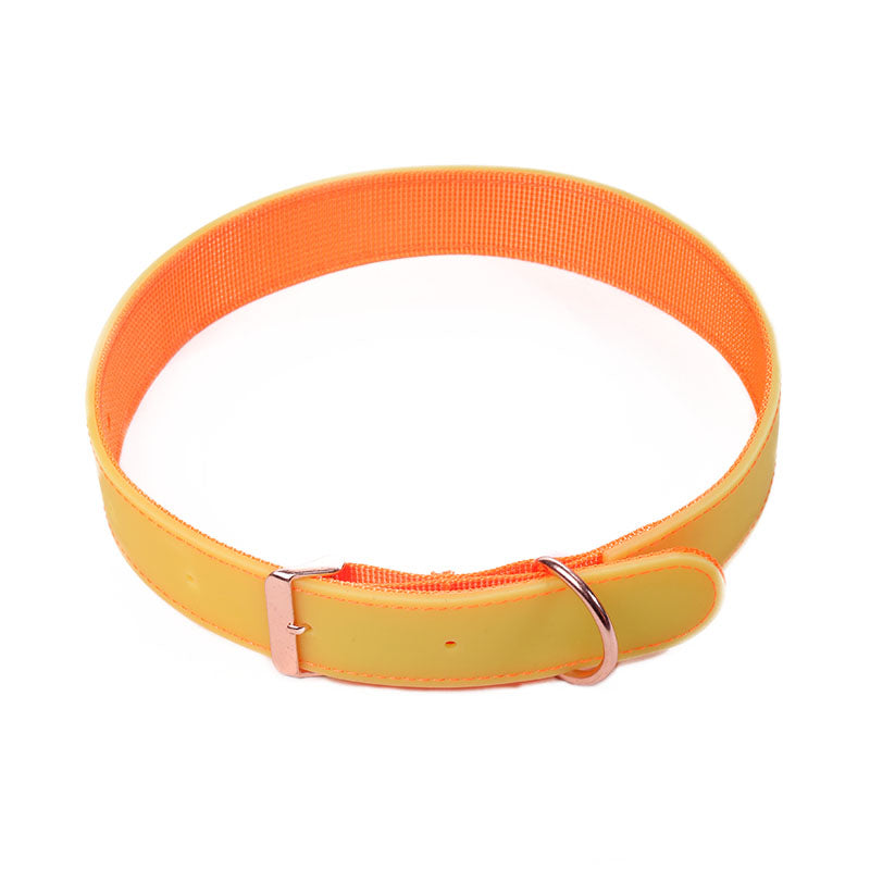 Luminous Dog Collar with Metal Buckle