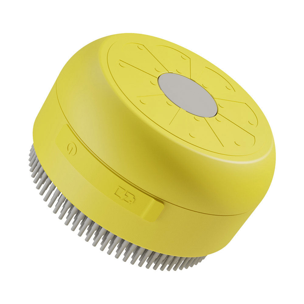 2 in 1 steam cat/dog brush : Clean,Massage